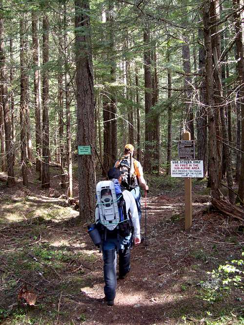 Hike through the Forest to Mount Outram