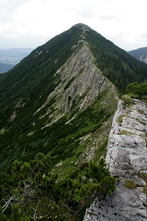 Brecherspitz west ridge