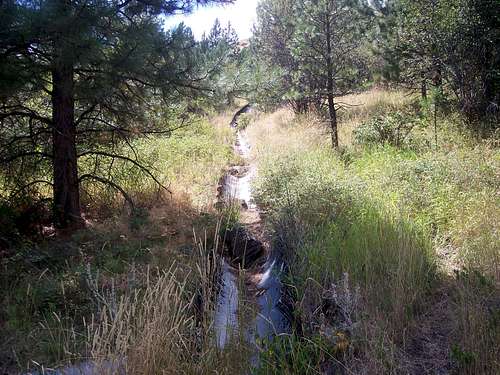 Table Mountain Drainage Ditch