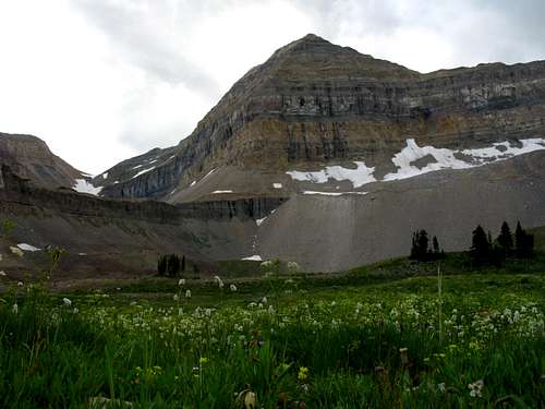 Timpanogos