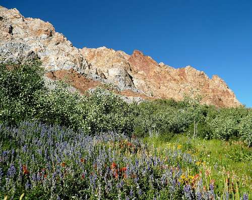 Crags and Colors