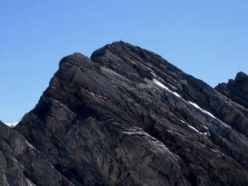 Climbers at the summit of Clariden