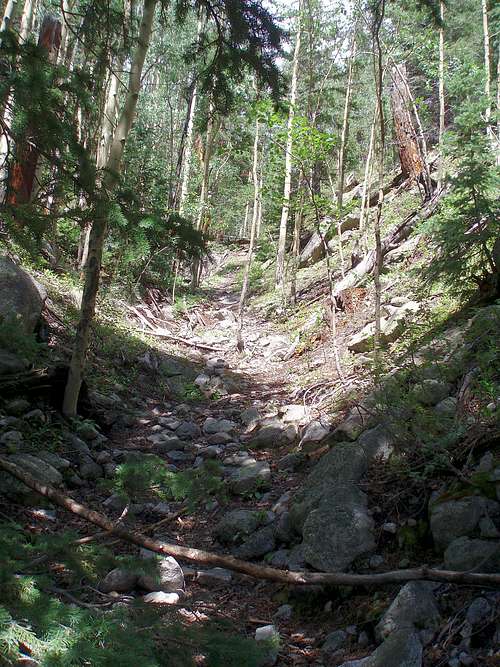 Dry Streambed in Grouse Gulch