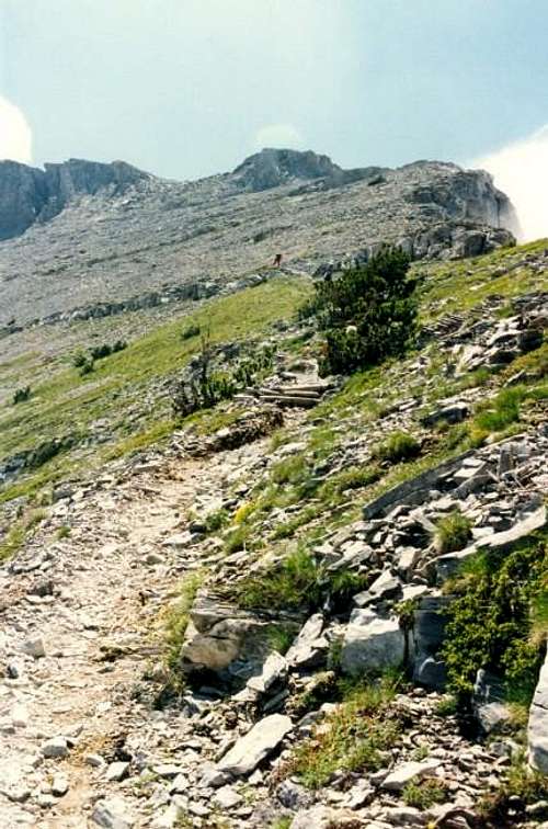 The last steep section of the...