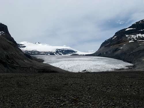 Lower saskatchewan glacier