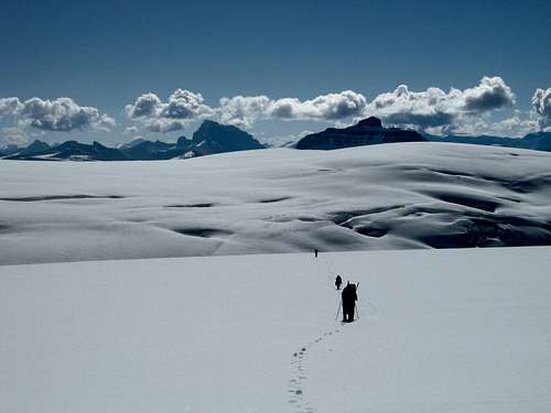Endless slogging on the Columbia Icefield