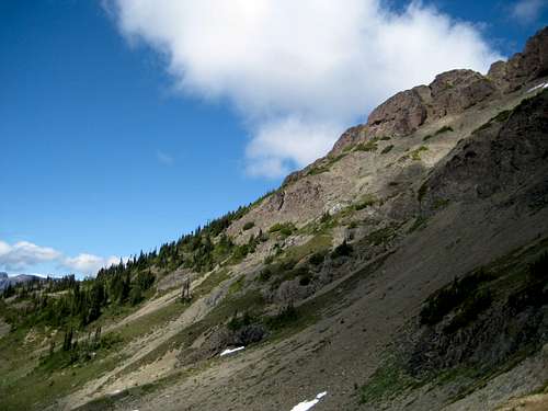Mt McBride : Climbing, Hiking & Mountaineering : SummitPost