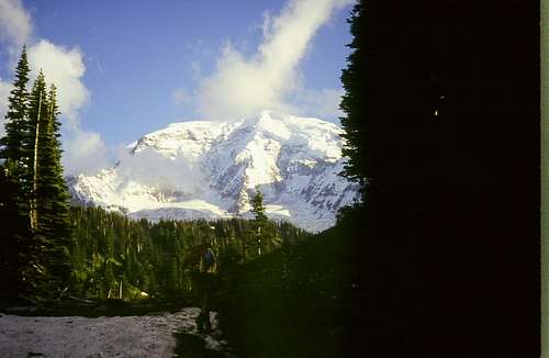 Mount Rainier