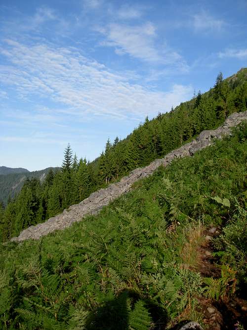 Bare Mountain's Southern Slope