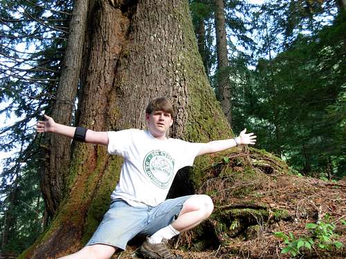 Old-Growth Photo-Op
