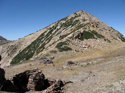 Sugarloaf East Ridge