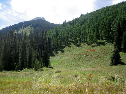 Daly trail to Moon Lake from cow pasture