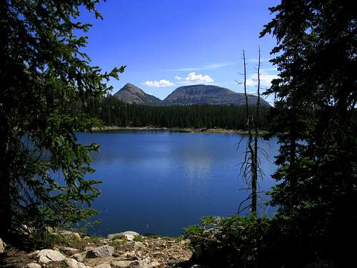 Reids Peak and Bald Mountain