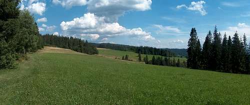 Meadow in Gorce