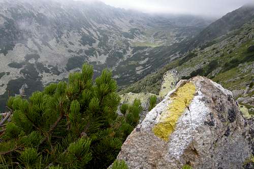 Stanisoarei valley