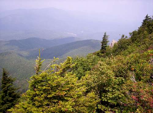View from Mt Cammerer toward TN