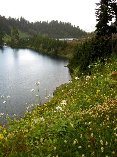 Twin Lakes with flowers