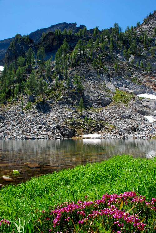 Mountain Heather and Tarn