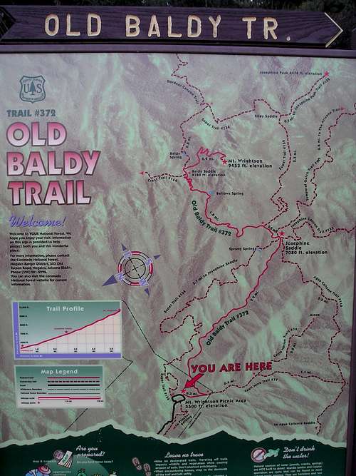 Old Baldy Trail