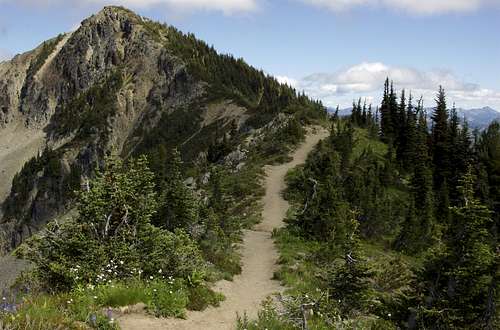 Trail to Dege Peak