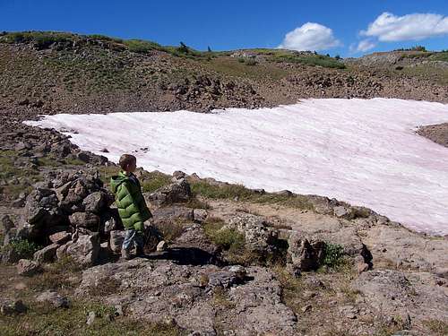 Pink snow