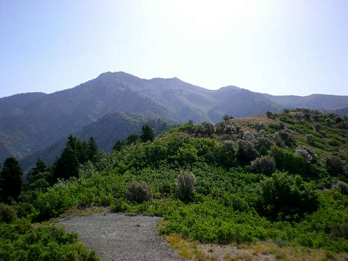 Mt. Ogden