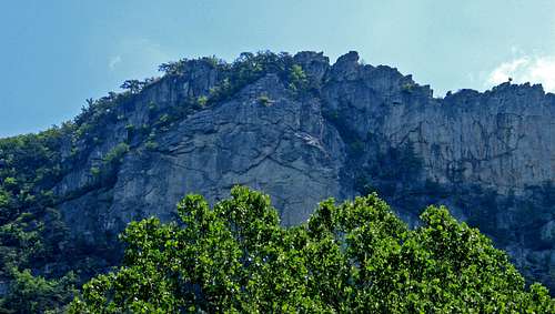 Seneca Rocks - North Peak