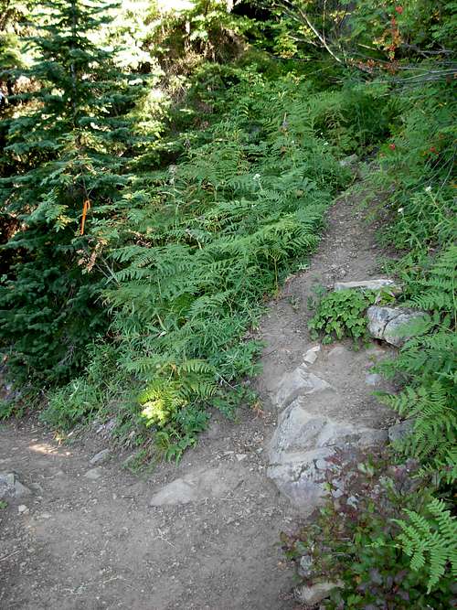 Mount Sawyer Summit Trail