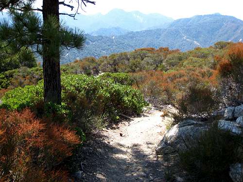Silver Moccasin Trail, San Gabriel Mtns.