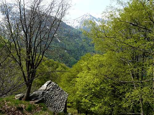 Alpe Nancino (Ogliana Valley)