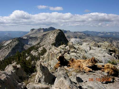 Tuolumne Peak Summit View
