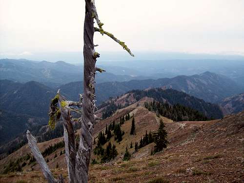 Miller Peak Trail (1379)