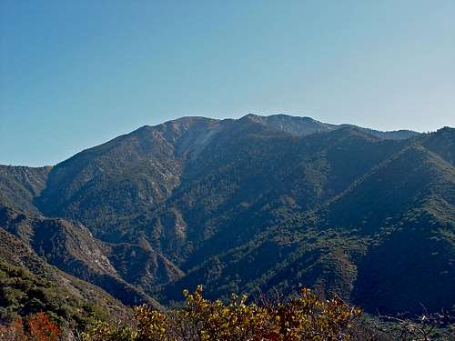 Mount Baldy and Coldwater Canyon