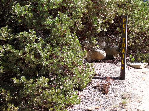 PCT sign at Mill Creek Summit