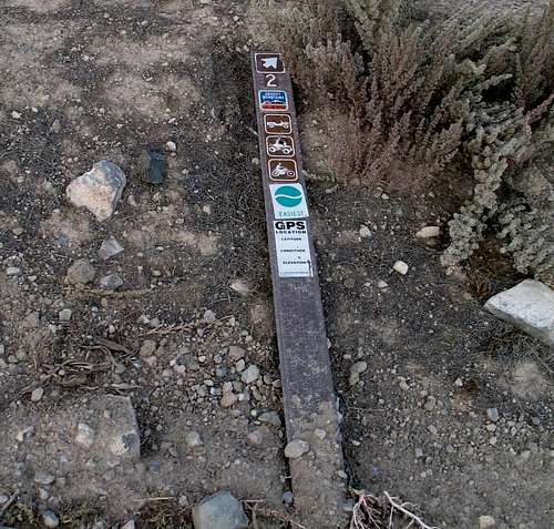 The BLM marker that