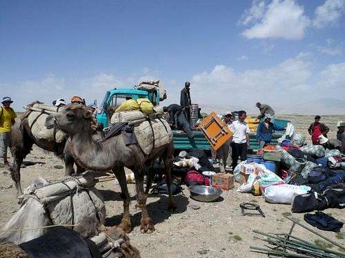 Loading the camels