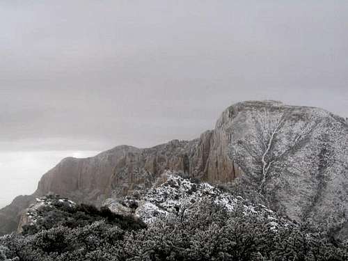 Guadalupe Peak and Shumard( I...