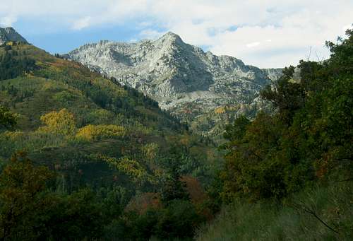 White Baldy from American Fork Canyon