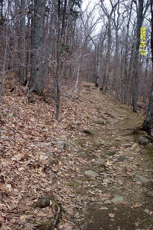 Megunticook trail