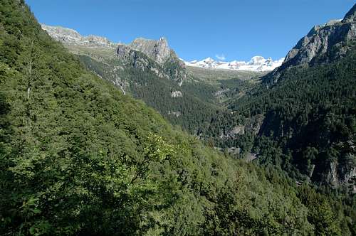 Porcellizzo valley