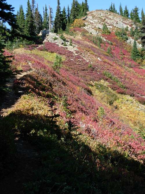 Little Wenatchee Ridge Trail