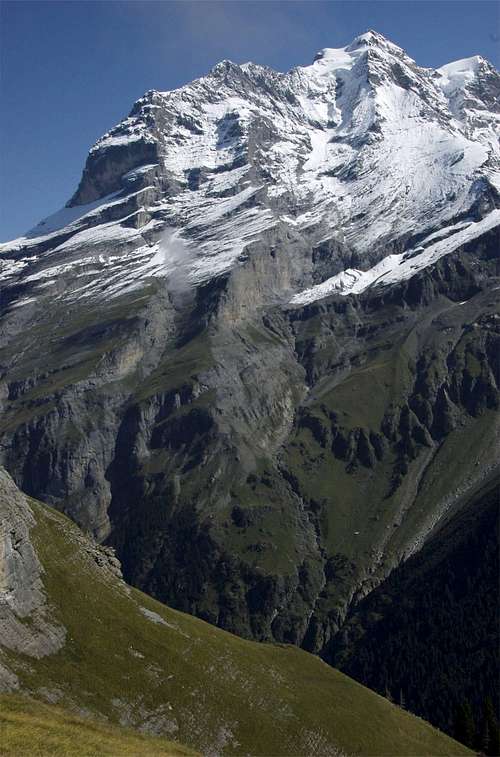 Jungfrau from Obersteinberg