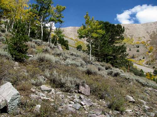 North Schell Peak