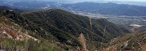 Crescenta View Trail
