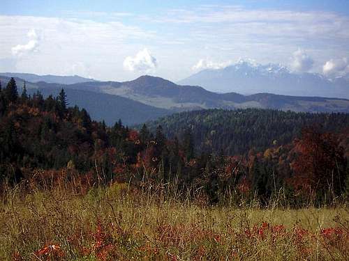 Forested Mountain in the middle of picture are Wysoka - highest point of Pieniny Moutains
