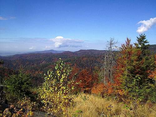 View to Gorce - Lubań Range