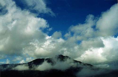 Mt. Tam from  Corte Madera Ridge