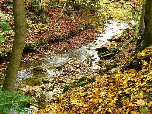 Black Creek in autumn