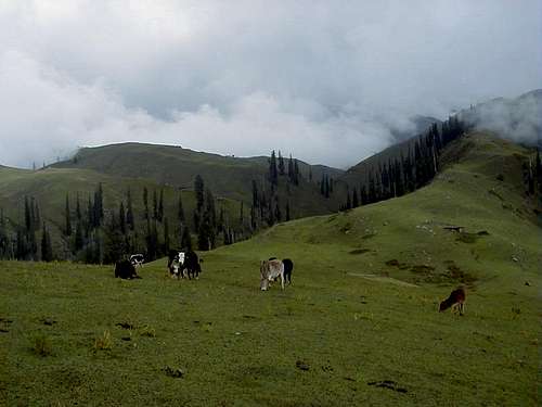 Kaghan Valley, Pakistan