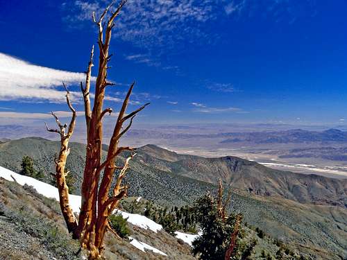 North Death Valley from Telescope Peak trail
